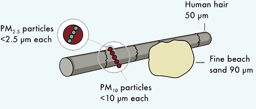 Three Sizes of Particulate Matter